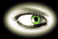 crossingeyes.gif (18560 bytes)